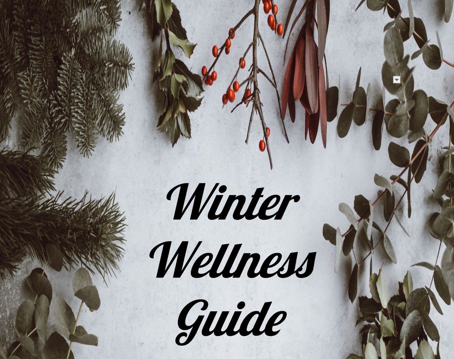 Winter Wellness Guide eBook